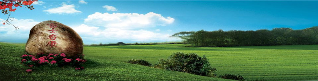 ��ʿ����Ƹ���ļ��